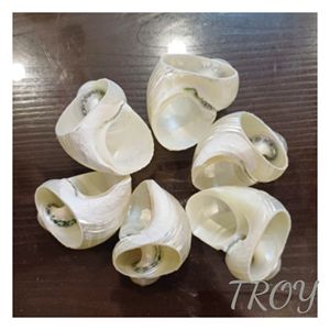 Anneaux de serviette en nacre pour cadeaux d'anniversaire, hôtes de dîners et collections d'accessoires de maison haut de gamme pour les organisateurs - Product Image 5
