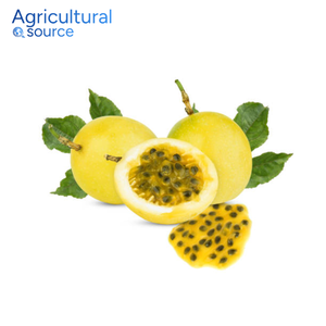 Fruta de la Pasión súper barata, natural y fresca, rica en vitamina C, fruta de la pasión para uso diario, de la fábrica de Vietnam - Product Image 3