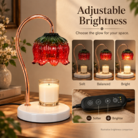 Diffuseur de cire sans flamme, motif floral rouge et vert, avec variateur d'intensité, emballage cadeau personnalisé