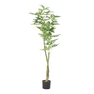 Albero della Fortuna Pachira Artificiale da 63 Pollici, Decorazione Verde per Ufficio, Casa, Soggiorno, Patio, Veranda - Product Image 2