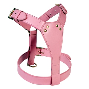 Harnais pour chien en cuir réglable avec boucles métalliques sécurisées, coutures renforcées et anneau de laisse robuste pour la promenade et l'entraînement - Product Image 5