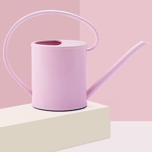 Arrosoir pour plantes d'intérieur, pot d'arrosage de jardin, carafe à eau, arrosoir pour plantes d'intérieur et d'extérieur, fleurs - Product Image 2
