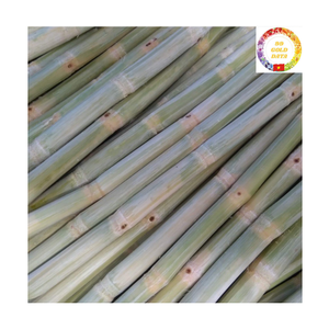 IQF Frozen Sugarcane Stalk | Natural Sweet Fresh Cane for Summer Juice <b>Bar</b> Bulk Export Manufacturer - Product Image 6