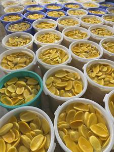 Rodajas de Mango Deshidratado 100% Mango Fresco, Corte Grueso (5-7cm), Envasado al Vacío, 1kg, Suave y Masticable, Snack Naturalmente Dulce - Product Image 5