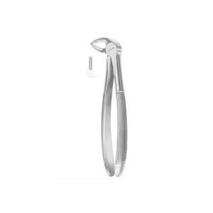 Forceps dentaire en corne de boeuf, manuel, en acier inoxydable, argenté, avec poignée moletée, instrument chirurgical certifié CE de classe I pour molaires inférieures - Product Image 2