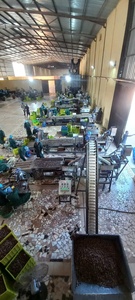 โรงงานแปรรูปเม็ดมะม่วงหิมพานต์ 10 ตัน/วัน ระบบกึ่งอัตโนมัติ สำหรับการผลิตเม็ดมะม่วงหิมพานต์ ผลิตจากสแตนเลส ผู้ผลิตจากเวียดนาม - Product Image 4