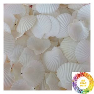 Adorno de Concha de Vieira Natural de 3-5cm y 8-13cm, Concha Blanca para Decoración del Hogar Costero, Casa de Playa y Decoración Náutica - Product Image 4