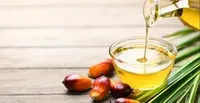 Aceite de Palma para Cocinar Cradle Life LAP NATURE - 12 Meses de Vida Útil, Listo para Usar, Guardar en Lugar Fresco y Seco, Lejos de la Luz Solar, Fabricado en India