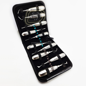 Ensemble de 10 pièces d'élévateurs de racines dentaires avec logo personnalisé Instruments en acier inoxydable avec étui Modèle certifié CE DT-DI-1543 - Product Image 2