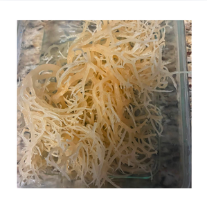 <b>Dried</b> Laver Seaweed Sea <b>Moss</b> Chopped 20-40cm Moisture Content Vacuum Pack 0.1-0.5kg Natural Salted Mineral Rich Bulk Vietnam - Product Image 1