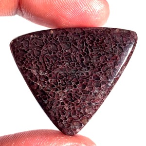 Piedras Preciosas de Hueso de Dinosaurio Natural al por Mayor, Cabujones Sueltos de Formas Mixtas 20-40mm, Grado AAA, Certificadas por Terceros, para Sanación Energética - Product Image 2
