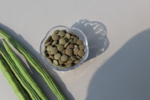 Polvo Puro de Hoja de Moringa Oleifera, Polvo Herbal Verde Natural, Ingrediente Alimenticio a Base de Plantas, Venta al Por Mayor - Product Image 6