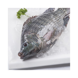 Filete de Panga 2022, Mariscos Congelados, Pescado Tilapia Entero y Redondo - Product Image 1