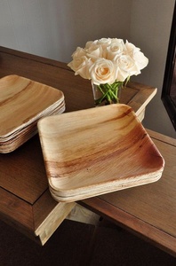 Sustainable Birthday Party <b>Plates</b> 8 Inches Square Shapes Natural <b>Disposable</b> Areca Leaf Dinnerware Fast Food <b>Plates</b> Pack of 25 - Product Image 1