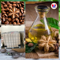 MINYAK Biji Sacha Inchi Murni Ekstrak Plukenetia Volubilis Minyak Pembawa untuk Losion Tubuh Grosir 100ml 1L - LARIS TERJUAL
