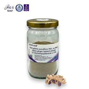 Extracto de Kaempferia Parviflora en Polvo, 15% DMF, Cultivo Silvestre, Marca KMP, Tailandia, Venta al Por Mayor - Product Image 1