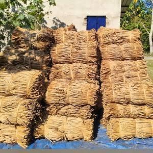 Proveedor de Vietnam, Venta al por Mayor de Material de Jacinto de Agua Seco al Sol, Fibra Cruda a Granel para Exportación - Product Image 3