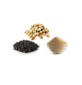 Extrait de Babool Phely 10:1, poudre d'ingrédient naturel à base de plantes pour assaisonnement alimentaire, produits nutraceutiques, produit ayurvédique - Product Image 1