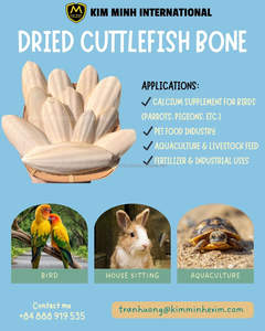 Os de Seiche Séché de Haute Qualité pour Oiseaux et Animaux de Compagnie – Supplément Naturel de Calcium pour l'Alimentation Animale - Product Image 2