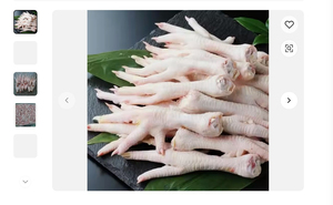 Frozen <b>Chicken</b> Paws Wholesale Supplier Premium Bulk Packaging Available - Product Image 6