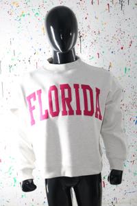 Sweat à capuche pour homme en coton 100% gris cendré de Floride, avec broderie appliquée, col large, fils plus fins, pour l'hiver - Product Image 2