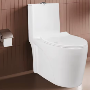 ONE PIECE CLOSET WITH 665X340X745mm WASH DOWN FLUSH DUAL FLUSH SOFT CLOSE <b>SEAT</b> COVER S TRAP 225mm - Product Image 1