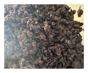 Longan Seco Marrón, Color Oscuro, Longan Seco de Vietnam, Snack Saludable, Listo para Comer, Pulpa de Longan Dulce, Envasado al Vacío, Fábrica 2026 - Product Image 2