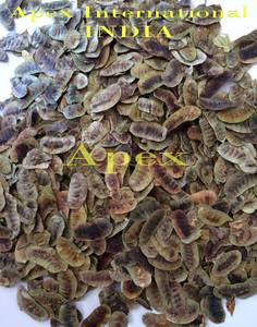 Vainas de Senna Secas, Corte en T, Producto Agrícola Natural - Product Image 3