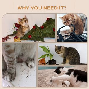 4 pz Beige gatto mensola a muro con Design ad angolo tra cui Scratching Post Board posatoi per gatti bacchette e palla giocattolo-albero gatto e graffio - Product Image 5