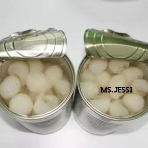 PREMIUM CANNED <b>LYCHEE</b> IN SYRUPT-Mr Alex - Product Image 3