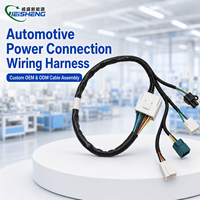 Harnais de câblage automobile complet sur mesure OEM, connecteur mâle-femelle, assemblage de câbles d'alimentation