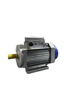 Motor Eléctrico Asíncrono IP55 220V-50Hz-60Hz CA, Carcasa de Hierro Fundido a Prueba de Goteo, Núcleo de Cobre, Precio de Fábrica, IP55 - Product Image 5