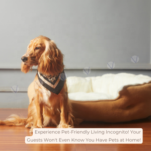 Spray desinfectante de aceite esencial Premium, etiqueta privada OEM, eliminación de olores para mascotas - Product Image 6