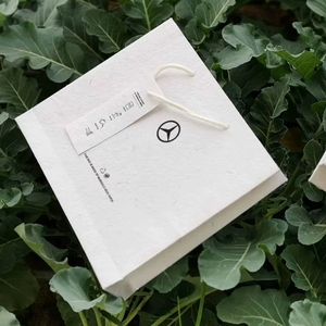 Bolsa de Regalo de Papel Ecológica, Elegante y Moderna, para Presentación de Productos Premium, Bolsa de Papel Floral Impresa Personalizada para Bolsas de Lujo para Minoristas - Product Image 1