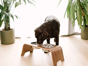 Dernier modèle de mangeoire pour chien en bois avec gamelles en acier – Distributeur de nourriture pour animaux de compagnie en bois - Product Image 3