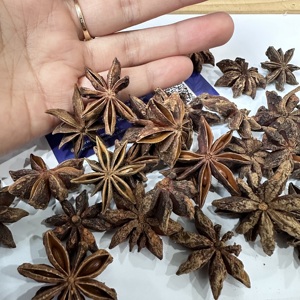Anís estrellado entero seco, especias alimentarias naturales de alto aroma, suministro al por mayor para importadores y distribuidores de Emiratos Árabes Unidos y Oriente Medio/ ANNA DO - Product Image 5