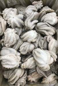 Pulpo Bebé Congelado, Suministro de Mariscos de Alta Calidad, Exportación a Granel - Product Image 4