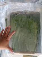 HETE AANBIEDINGEN!!! Premium bananenbladeren tegen geweldige prijzen uit Vietnam!