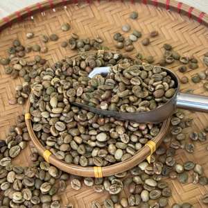 Best Seller High Quality Arabica & <b>Robusta</b> <b>Coffee</b> <b>Beans</b> Whole <b>Beans</b> Clean/ Washed/ Honey Process Vietnam Origin Cheap Price - Product Image 6
