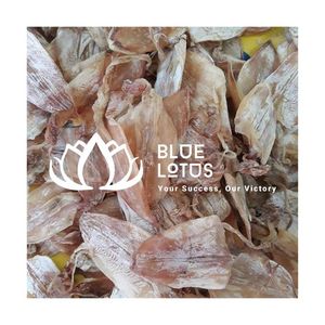 Produit phare : Calamar séché durable, pur et bien traité, idéal pour les soupes et les apéritifs – Fournisseur de fruits de mer de haute qualité - Product Image 1