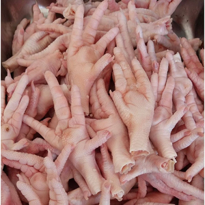 Frozen <b>Chicken</b> Paws Premium Bulk Supply for Commercial Kitchens - Product Image 1