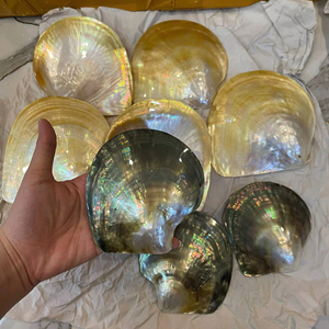 Wholesale Black Yellow Shell Pearl Of Mother Shell White Vietnam Material For Furniture Inlay Jewelry Craft Decorative Panel - Product Image 1