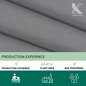 Blusa OEM para Mujer, 100% Lyocell, 235 GSM, Elegante, Manga Abullonada, Cuello Simulado, Top Casual para Dama - Product Image 5