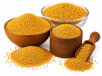 Aqua Vriksha Premium Graines de moutarde jaunes 100% pures |   Graines de moutarde indiennes entières naturelles pour la cuisine, les cornichons et les mélanges d'épices