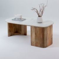 Table basse en marbre Vandana Zenova Sierra pour salon moderne et décoration contemporaine
