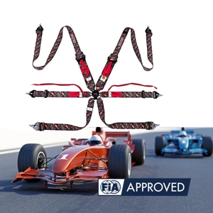 FIA Professional Racing Harness 6 Point SPORT PLUS 5 With High Tension <b>Webbing</b> OEM ODM Custom Logo Color Supplier - Product Image 2