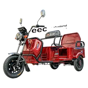 Yükleme mal için LB-GMZD kargo elektrikli üç tekerlekli bisiklet elektrikli araç e-çekçek 500kg elektrikli araba yoğurma masaj