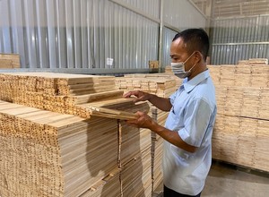 บริการตรวจสอบคุณภาพแบบครบวงจรระดับมืออาชีพ ตรวจสอบวัตถุดิบ ยืนยันแหล่งกำเนิดสินค้า OEM แบรนด์เวียดนาม - Product Image 6