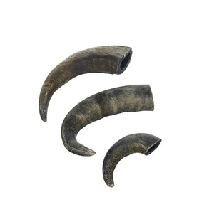 Masticable de Cuerno de Búfalo 100% Natural de Calidad Única para Perros, el Mejor Estilo Animal, Ecológico, Duradero, Moderno, al Mejor Precio - Product Image 6