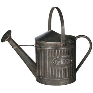 Vintage <b>Metal</b> Watering Can Rustic Galvanized Iron Garden Pot Long Spout Indoor Outdoor Decorative Plant Flower Waterer Farmhouse - Product Image 1